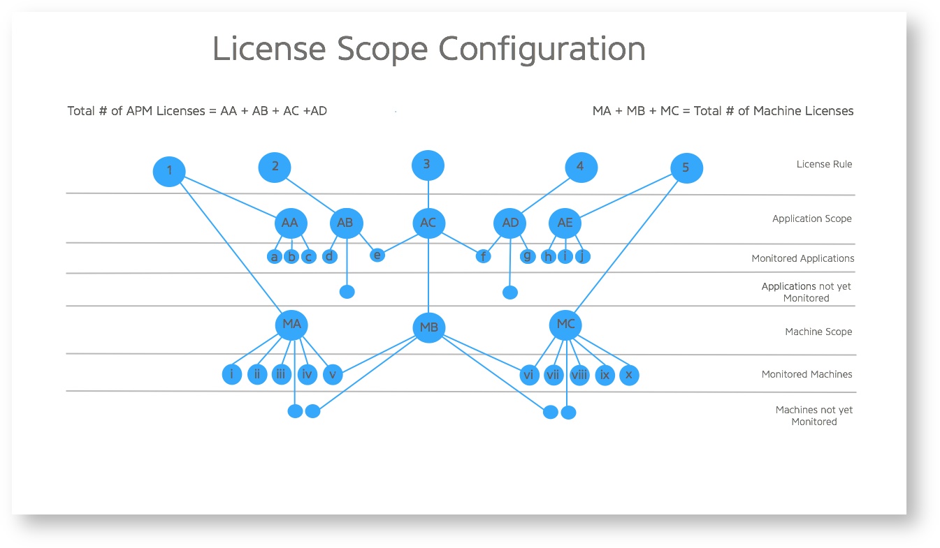 Agent based license scope configuration
